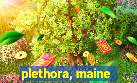 plethora, maine